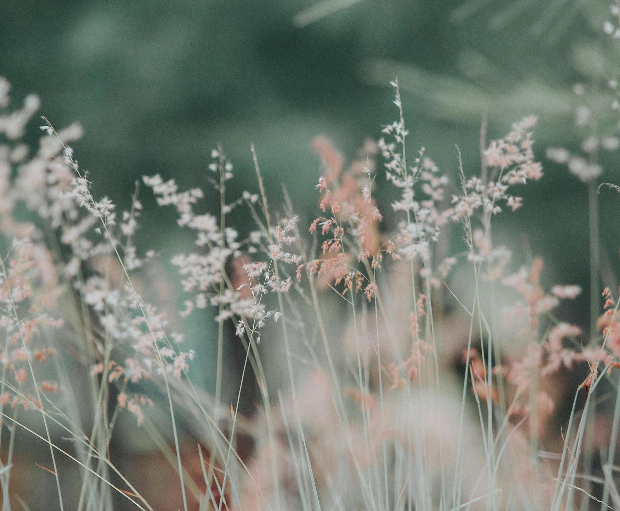 NodeConsultingHome copy